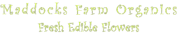maddocksfarmorganics.co.uk