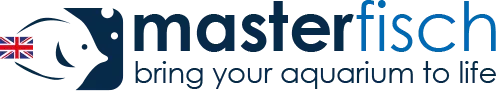 masterfisch.co.uk