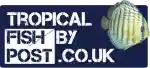 tropicalfishbypost.co.uk